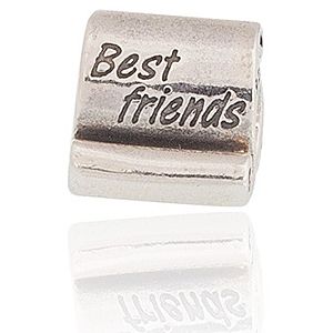 Pandora    Best Friends Charm