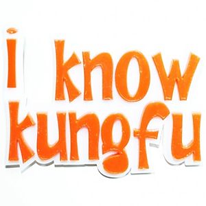 "I Know Kungfu" Broş